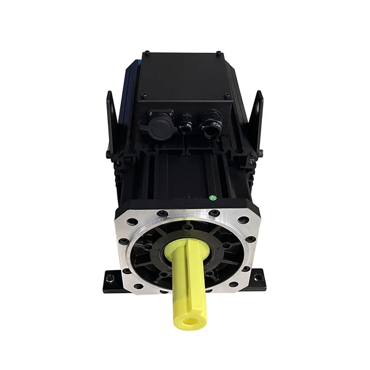 high torque servo motor